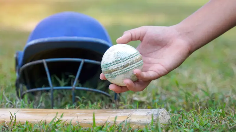 The Pulse of Indian Cricket: Latest News, Insights, and What Lies Ahead in 2025 The Pulse of Indian Cricket: Latest News, Insights, and What Lies Ahead in 2025